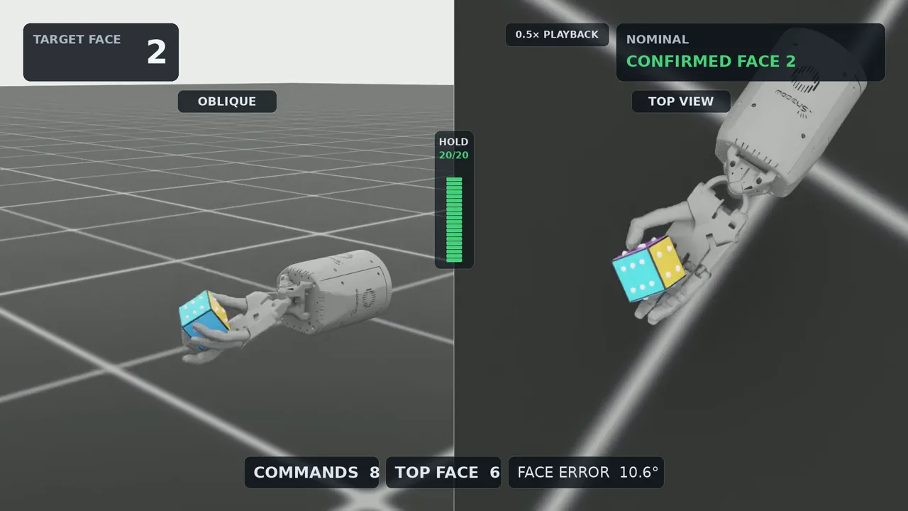 DICE Shadow Hand manipulation setup