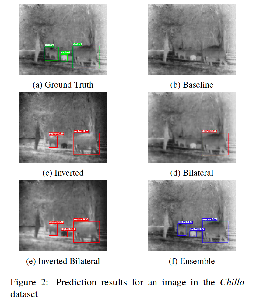 Elephant detection results from thermal-imaging research